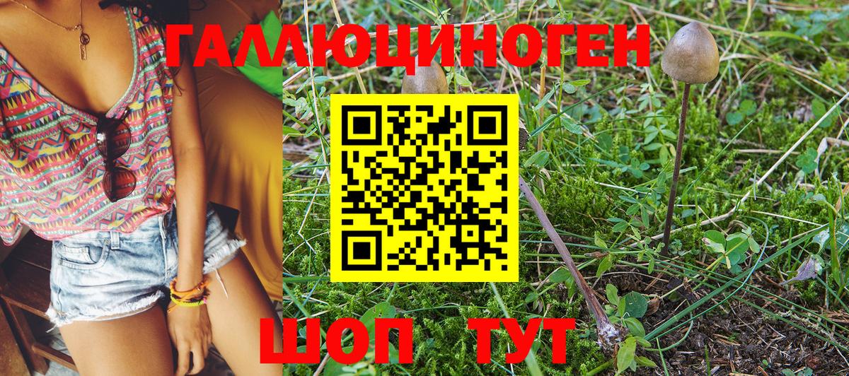 Саратов  Псилоцибиновые грибы MAGIC MUSHROOMS  Вход с VPN 